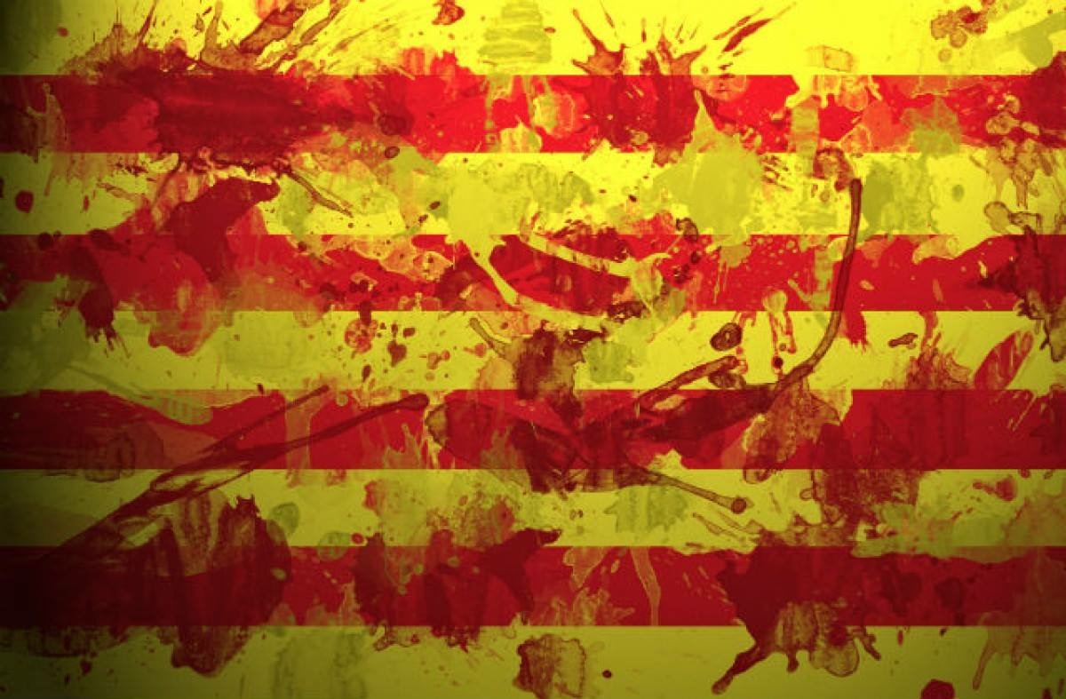 image from Diada 2024